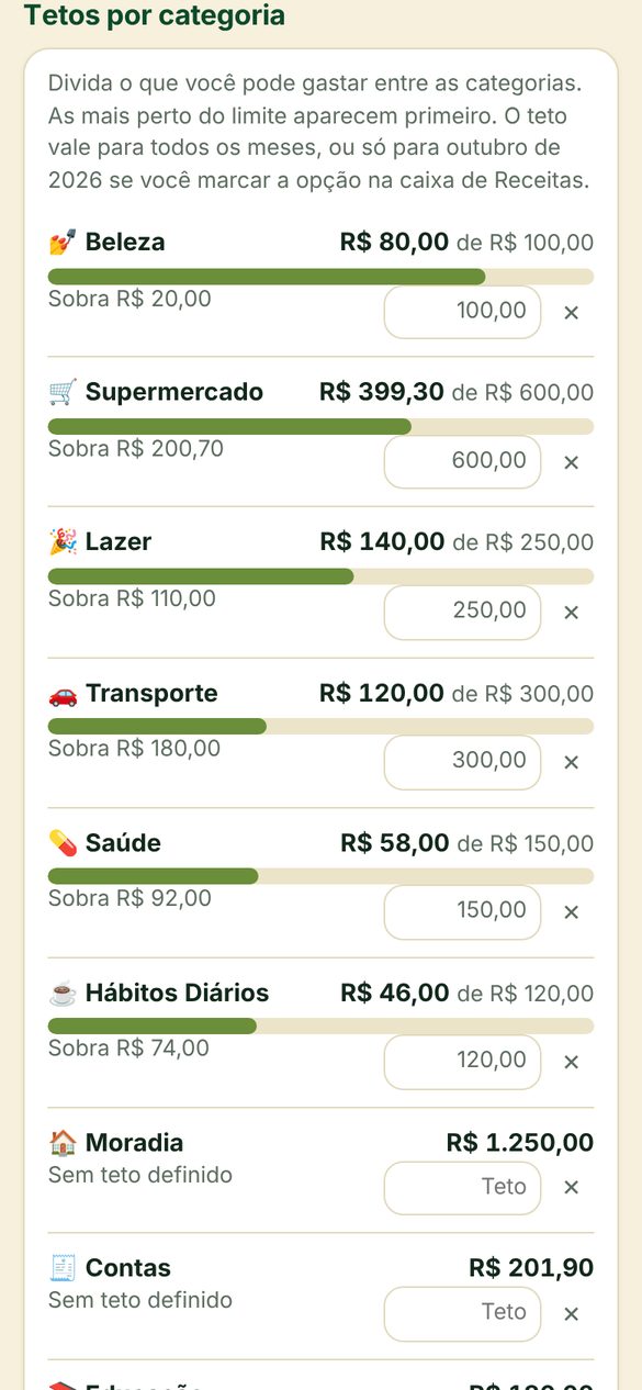 Tela de tetos por categoria do Bolso Leve com barras de progresso
